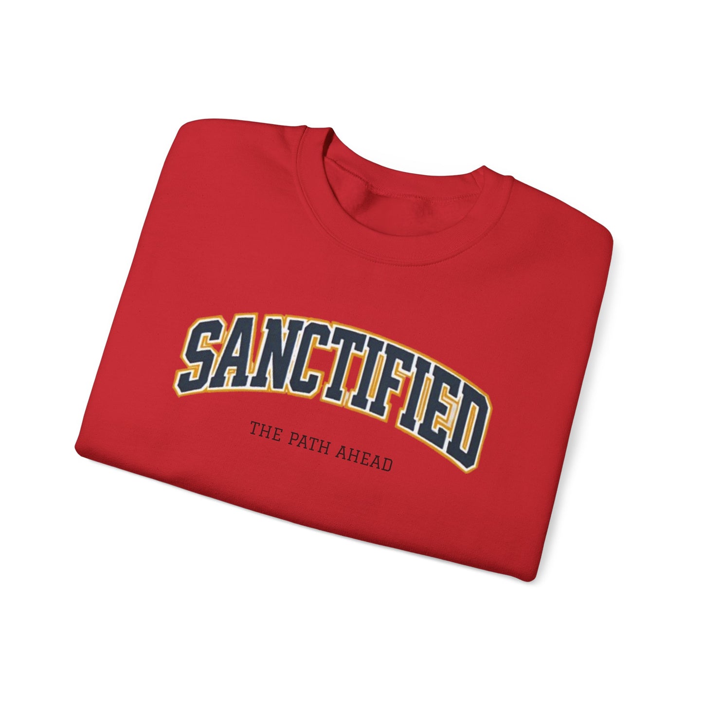 Sanctified Crewneck Sweatshirt, Faith-Based Apparel, Cozy Church Outfit, Inspirational Gift, Casual Everyday Wear