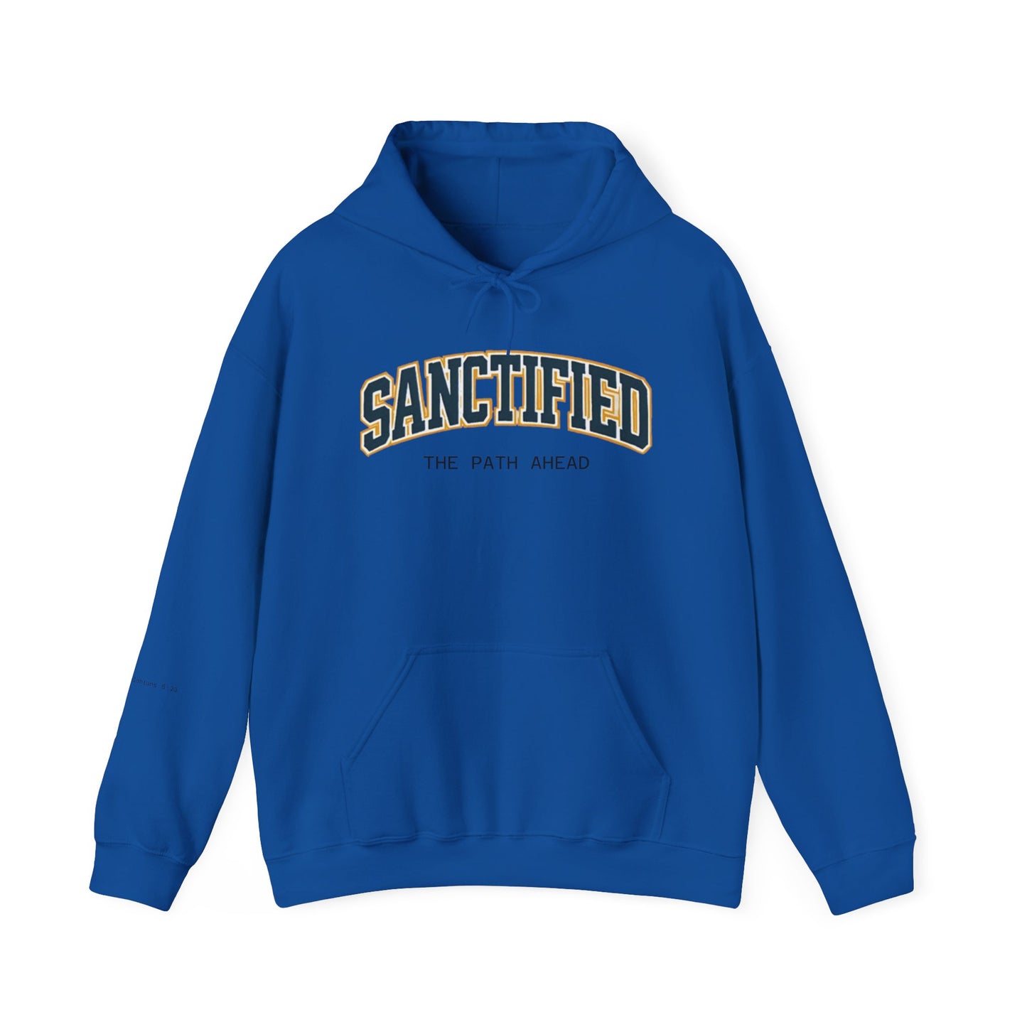 Sanctified Hooded Sweatshirt | Cozy Unisex Hoodie, Faith Inspired Apparel, Perfect Gift for Holidays, Casual Wear, Spiritual Fashion