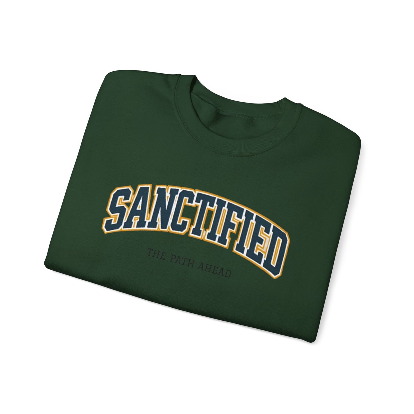 Sanctified Crewneck Sweatshirt, Faith-Based Apparel, Cozy Church Outfit, Inspirational Gift, Casual Everyday Wear