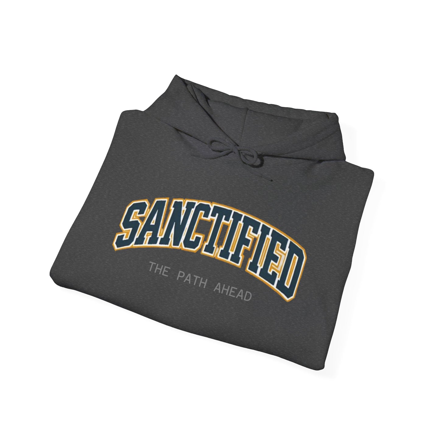 Sanctified Hooded Sweatshirt | Cozy Unisex Hoodie, Faith Inspired Apparel, Perfect Gift for Holidays, Casual Wear, Spiritual Fashion