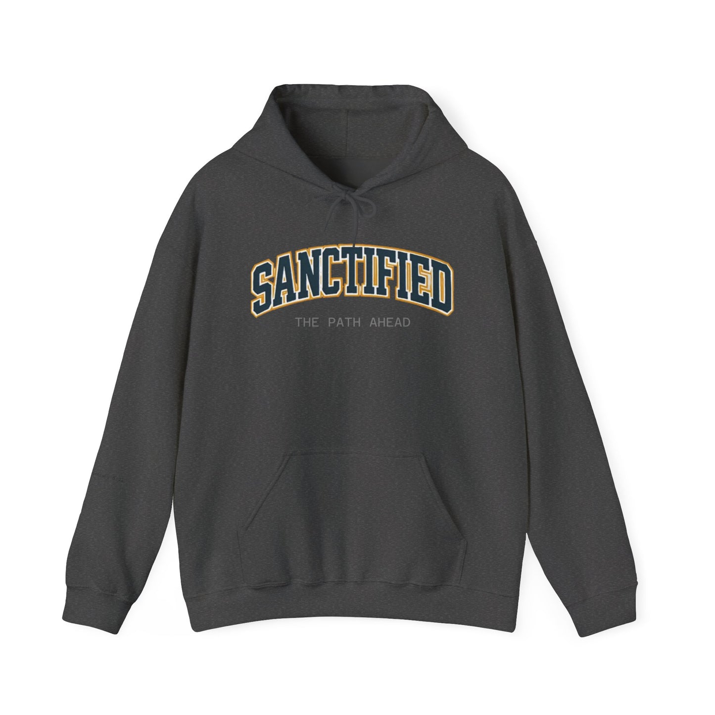 Sanctified Hooded Sweatshirt | Cozy Unisex Hoodie, Faith Inspired Apparel, Perfect Gift for Holidays, Casual Wear, Spiritual Fashion