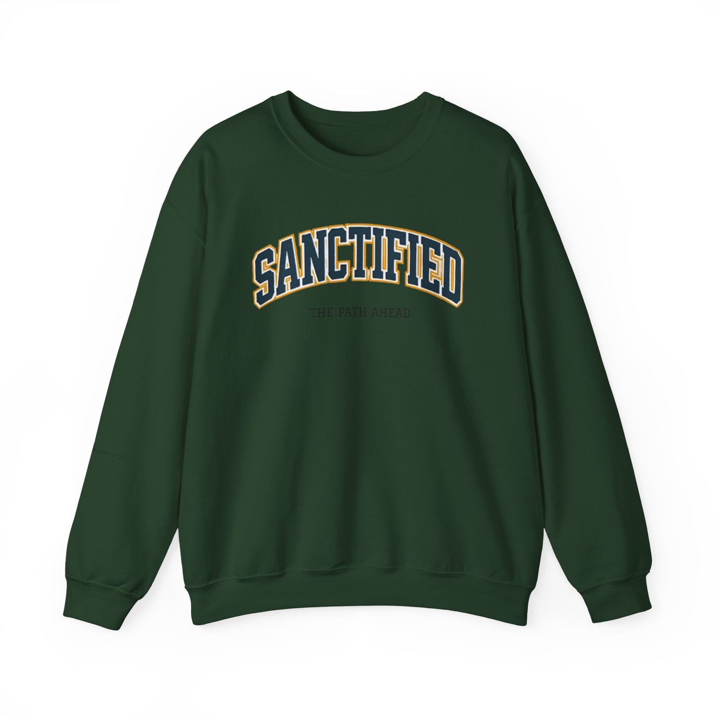 Sanctified Crewneck Sweatshirt, Faith-Based Apparel, Cozy Church Outfit, Inspirational Gift, Casual Everyday Wear