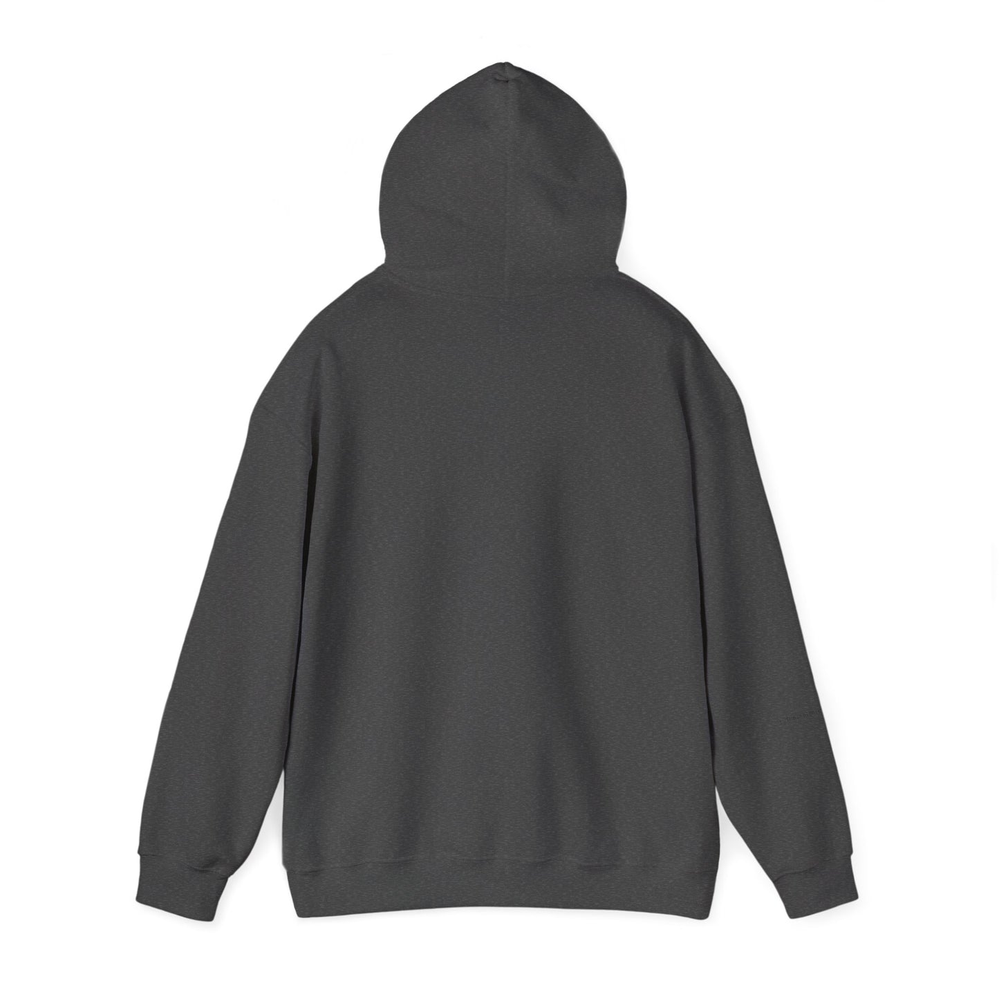 Sanctified Hooded Sweatshirt | Cozy Unisex Hoodie, Faith Inspired Apparel, Perfect Gift for Holidays, Casual Wear, Spiritual Fashion