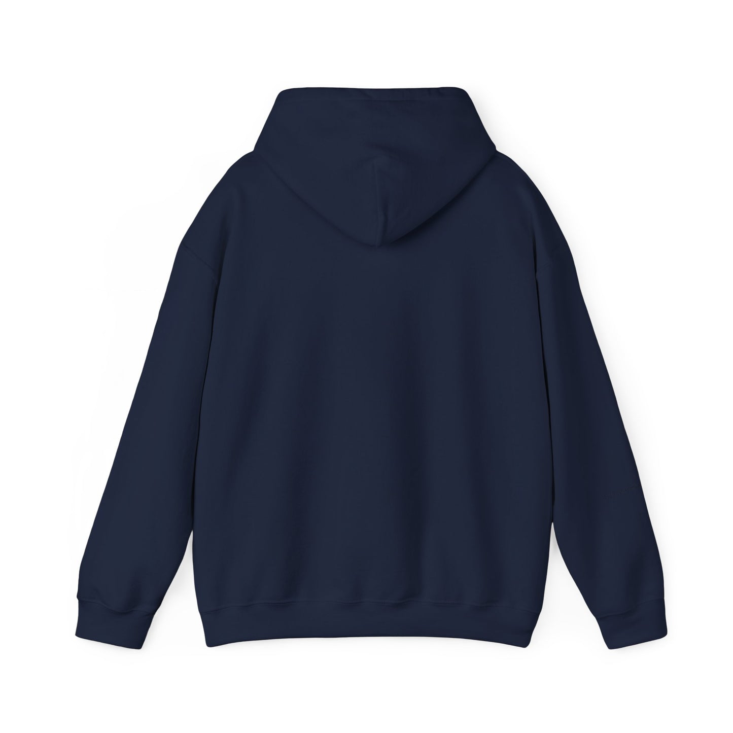 Sanctified Hooded Sweatshirt | Cozy Unisex Hoodie, Faith Inspired Apparel, Perfect Gift for Holidays, Casual Wear, Spiritual Fashion