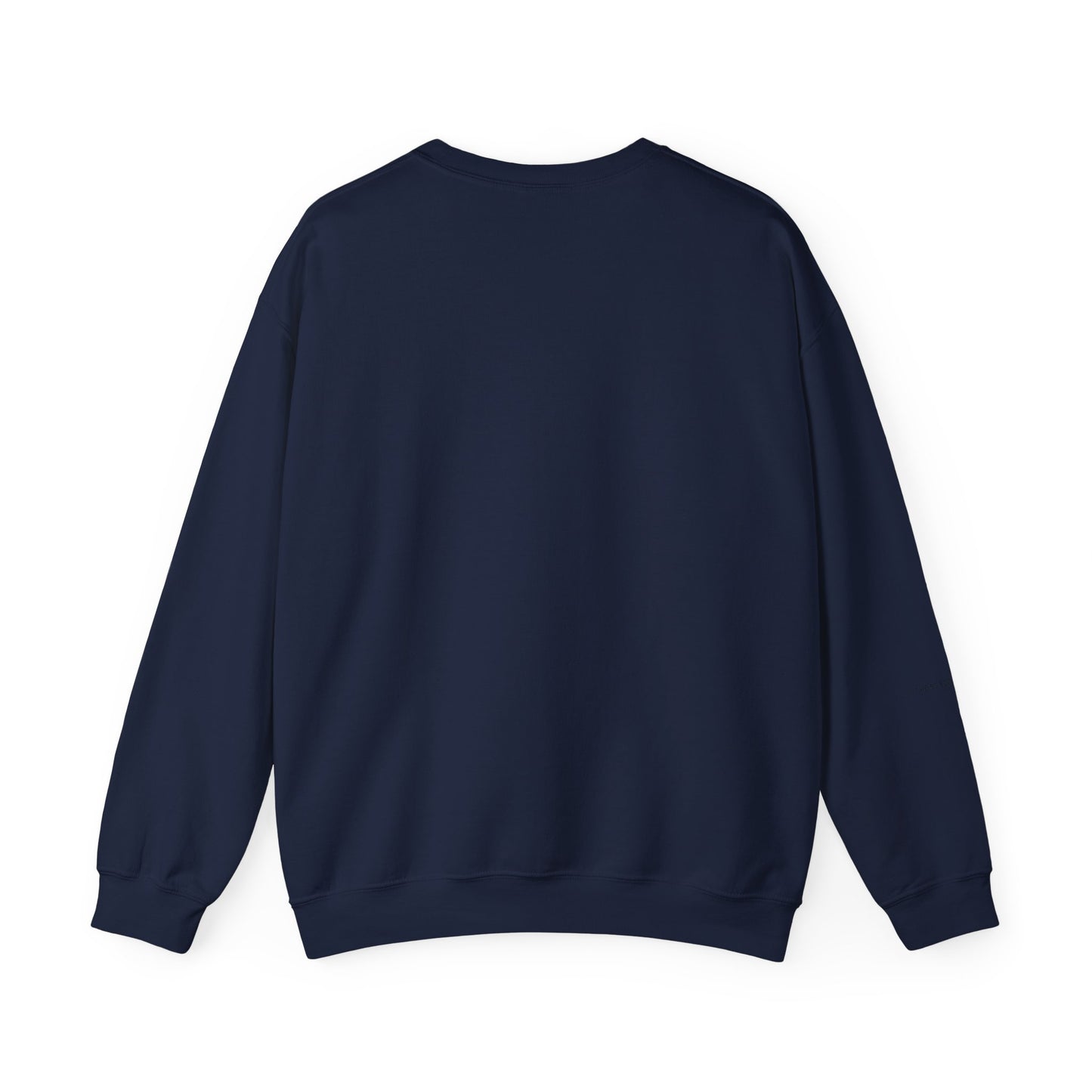 Sanctified Crewneck Sweatshirt, Faith-Based Apparel, Cozy Church Outfit, Inspirational Gift, Casual Everyday Wear