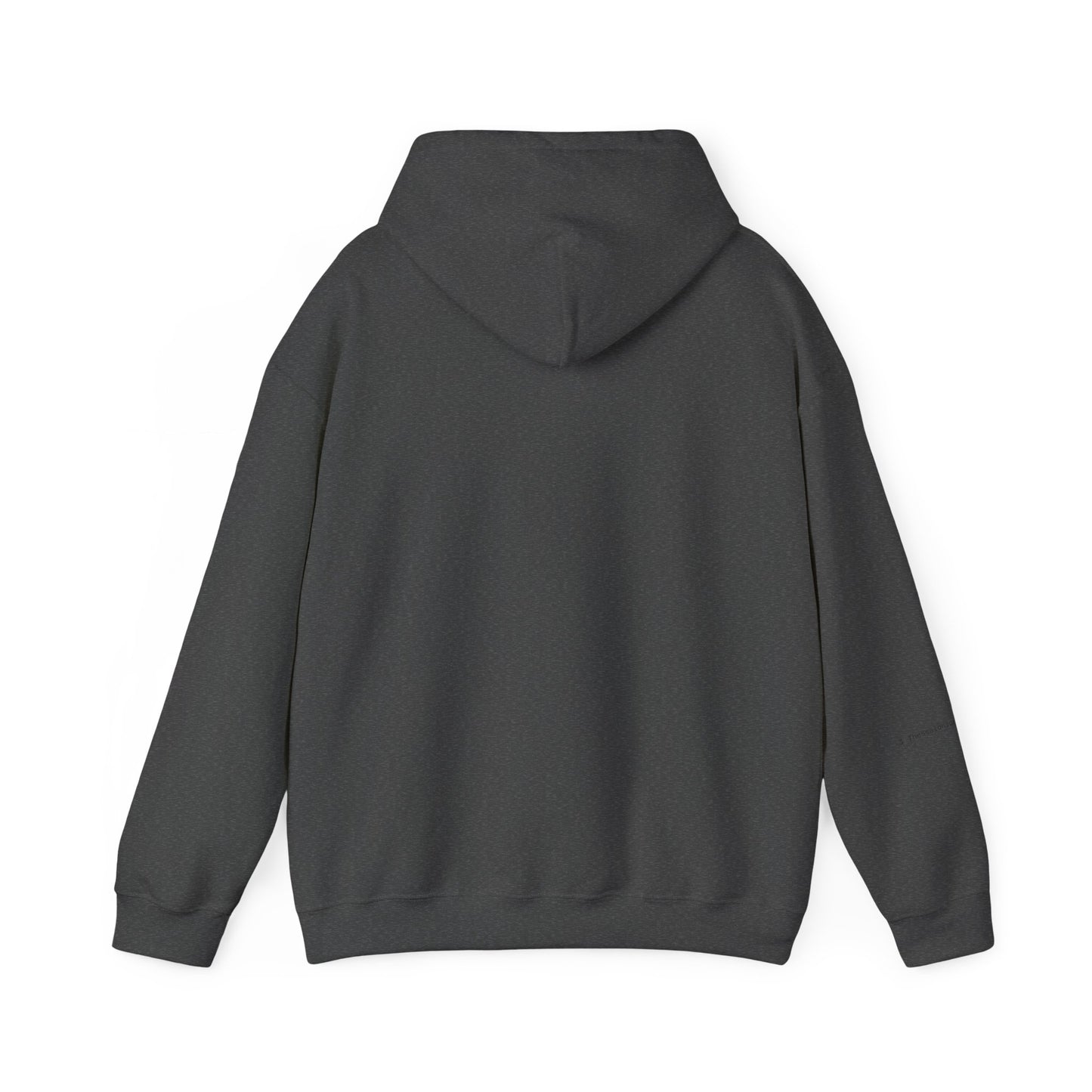 Sanctified Hooded Sweatshirt | Cozy Unisex Hoodie, Faith Inspired Apparel, Perfect Gift for Holidays, Casual Wear, Spiritual Fashion