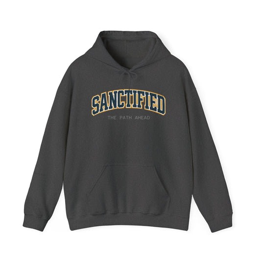 Sanctified Hooded Sweatshirt | Cozy Unisex Hoodie, Faith Inspired Apparel, Perfect Gift for Holidays, Casual Wear, Spiritual Fashion